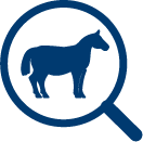 Illustration Equine ppid diagnostic testing