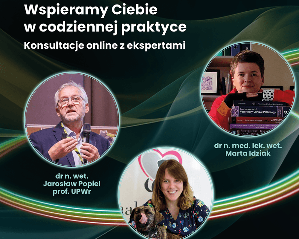 Experts in endo news