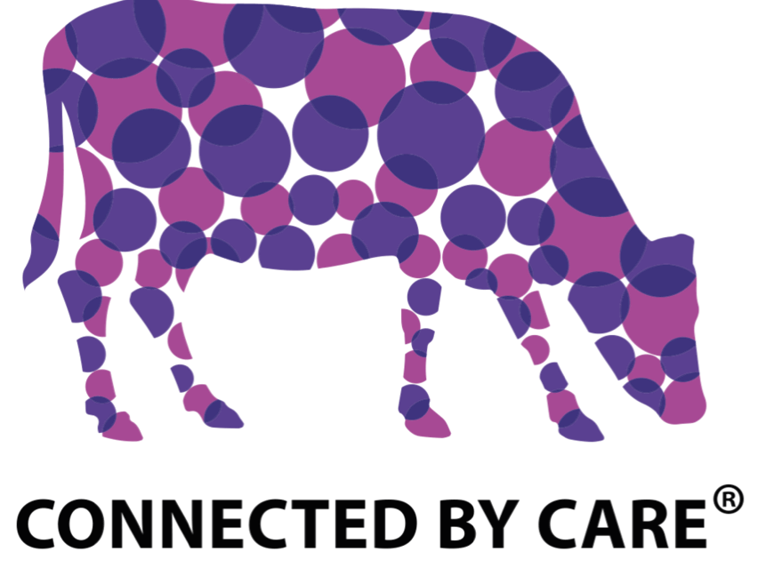 Cow connected by care logo