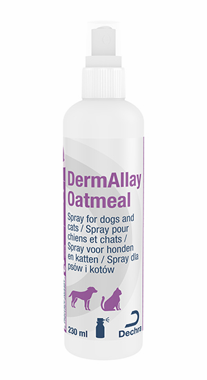 DermaAllay Oatmeal Odżywka dla psów i kotów 230 ml  - Odżywka dla psów i kotów